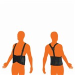 ProChoice Back Support Belt
