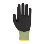 Graphex Quantum AGT Cut5 Level F Glove